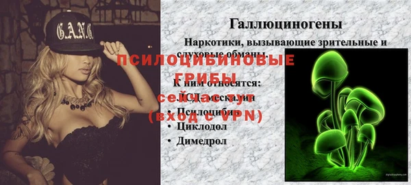 спиды Армянск
