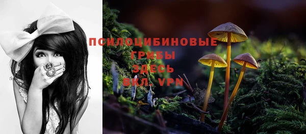 кокс Аркадак